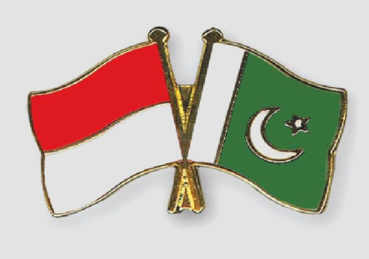 Indonesia Will Help Pakistan